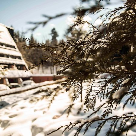 Moura Boutique Hotel By Asteri Hotels Borovets Exterior foto