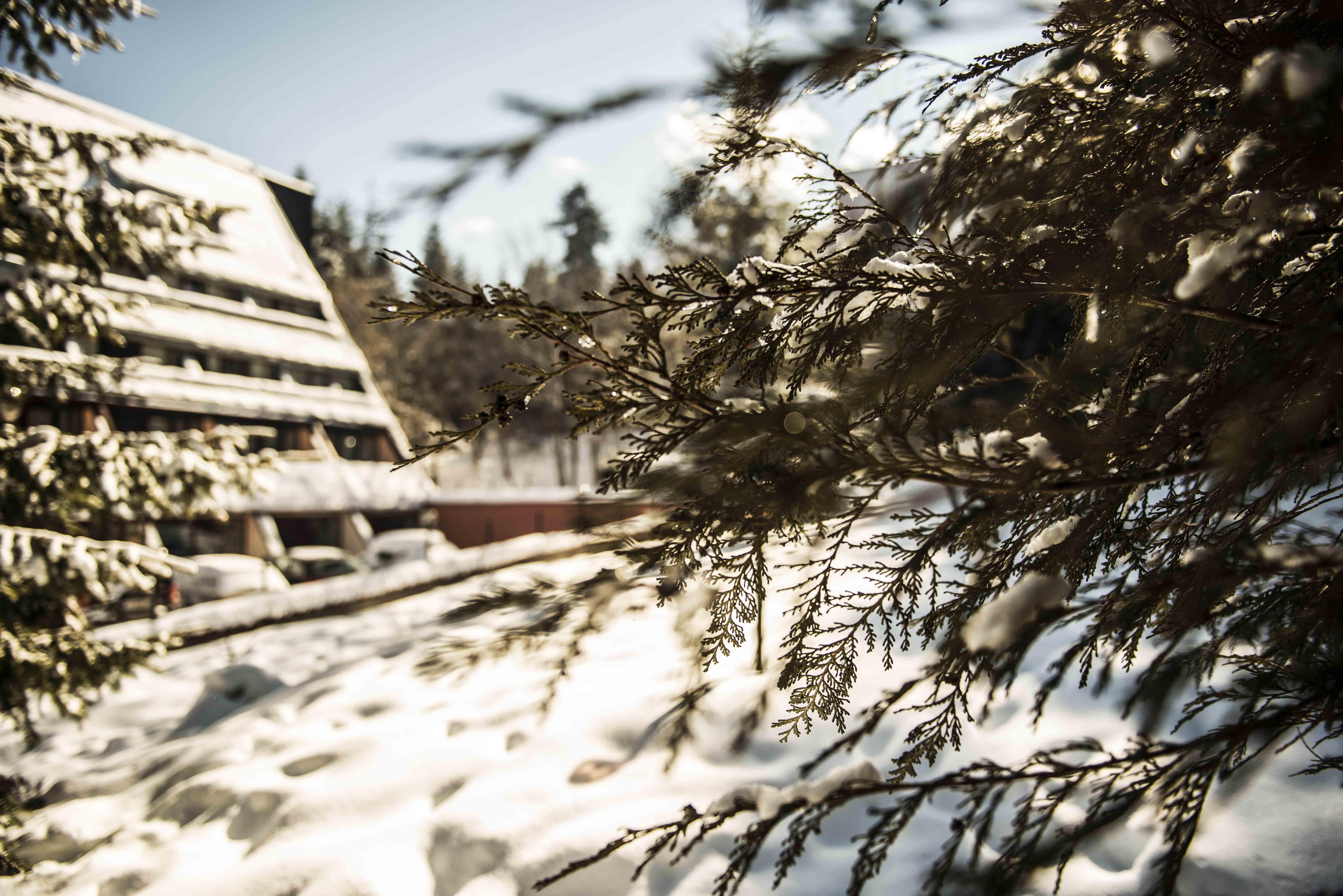 Moura Boutique Hotel By Asteri Hotels Borovets Exterior foto
